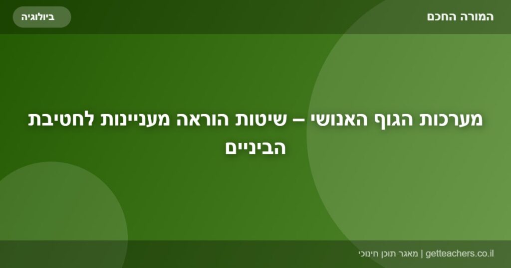מערכות הגוף האנושי – שיטות הוראה מעניינות לחטיבת הביניים